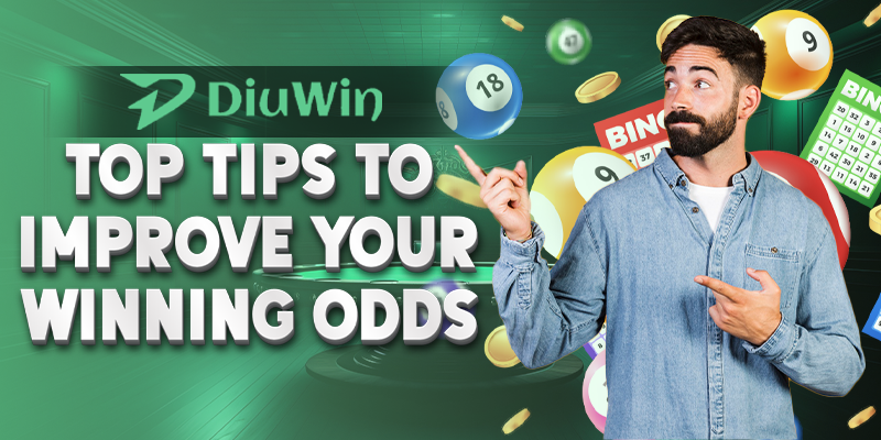 Diuwin Wingo Prediction: Top Tips to Improve Your Winning Odds